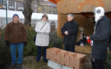 Karácsonyfa ajándékba