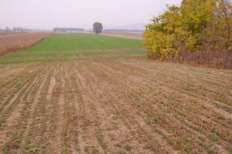 Nagyszabású földprogramot indít az agrártárca az osztatlan közös földtulajdon felszámolása érdekében