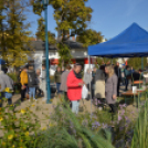 Őszi virágvásárt tartottak a városközpontban