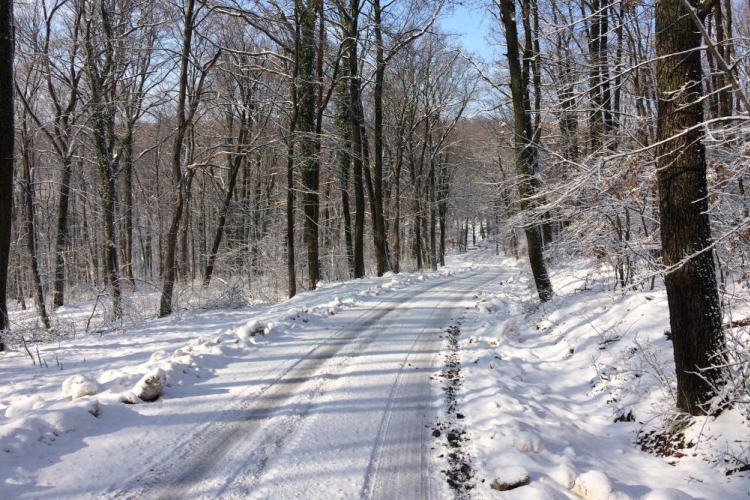 Ezen a télen 20 százalékkal több csapadék hullott 