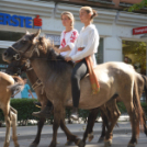 Felvonulással vette kezdetét a Kunfakó Ünnep