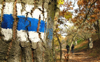 Nálunk kanyarog Európa legmodernebb, leghosszabb túraútvonala 