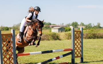 Aranyérmekkel tért haza Dobos Eszter és Harriet