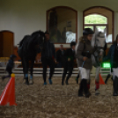 Országos Amatőr Gyermek Ügyességi és Díjugrató Verseny