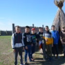 Barangolás az bugaci ősborókásban