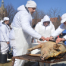 Régmúlt idők disznóvágási hangulatát idézték fel a városközpontban