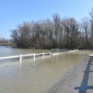 Árad a Tisza Tőserdőnél