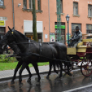 Nem számított az eső sem a szüreti felvonulóknak