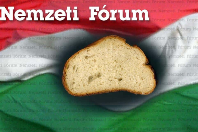 A Nemzeti Fórum frakciójának nyilatkozata a Képviselő-testület feloszlatásáról szóló sürgősségi indítványról