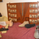 Elfeledett mesterségek