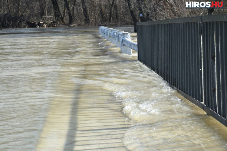 Árad a Tisza Tőserdőnél