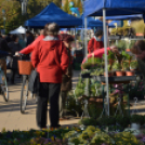 Őszi virágvásárt tartottak a városközpontban