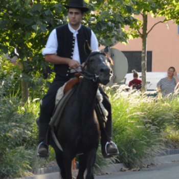 Felvonulással vette kezdetét a belvárosi lovas ünnep