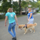 Izgalmas programok színesítették a Kutatók éjszakáját a Móra gimiben