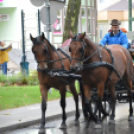 Nem számított az eső sem a szüreti felvonulóknak