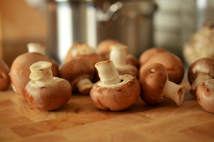 Szünetel a Gombavizsgálat