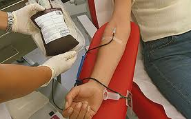 Véradás az ipartestületben