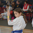 Kiskun Kupa Kyokushin Karate Verseny