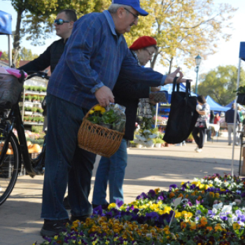 Színes virág kavalkád az őszi virágünnepen