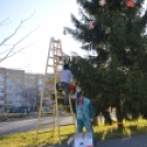 Ékes fenyőfa hirdeti a lakótelepen is a Karácsonyt
