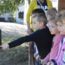 Kíváncsi gyermekszemek a Tangazdaságban