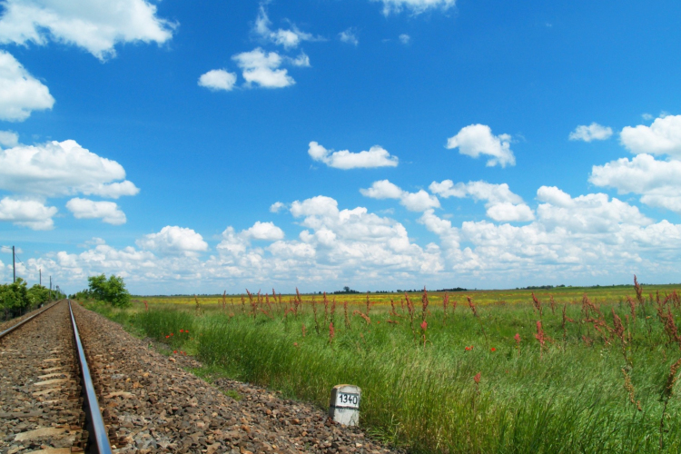 Gyomirtás a selymesi vasútállomásnál