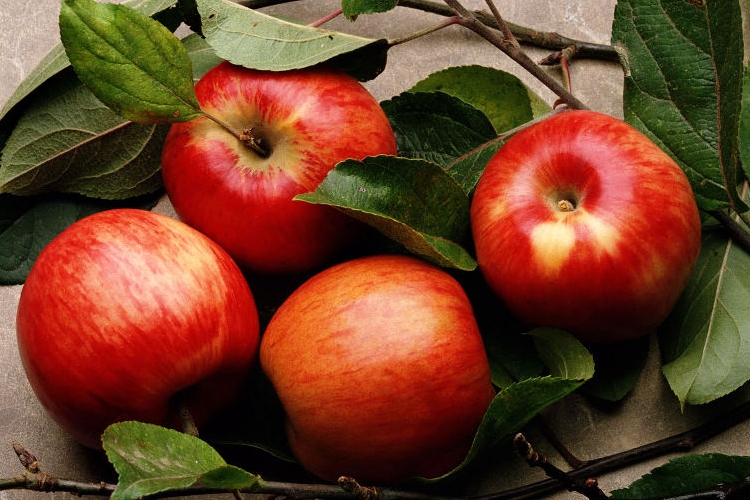 Az alma idővel veszít vitamintartalmából