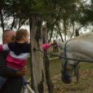 Idén is számos érdeklődőt vonzott a Mezgé piknik