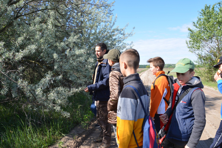 Barangolás az bugaci ősborókásban