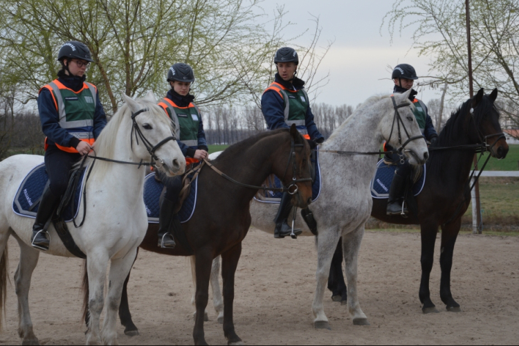 Hivatalosan is megkezdte működését a lovas polgárőr szolgálat