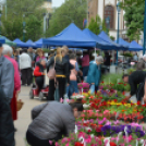 Káprázatos virágözön ékesítette Kiskunfélegyháza főterét