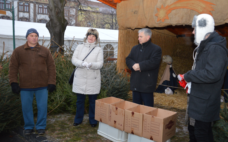 Karácsonyfa ajándékba