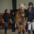 Országos Amatőr Gyermek Ügyességi és Díjugrató Verseny