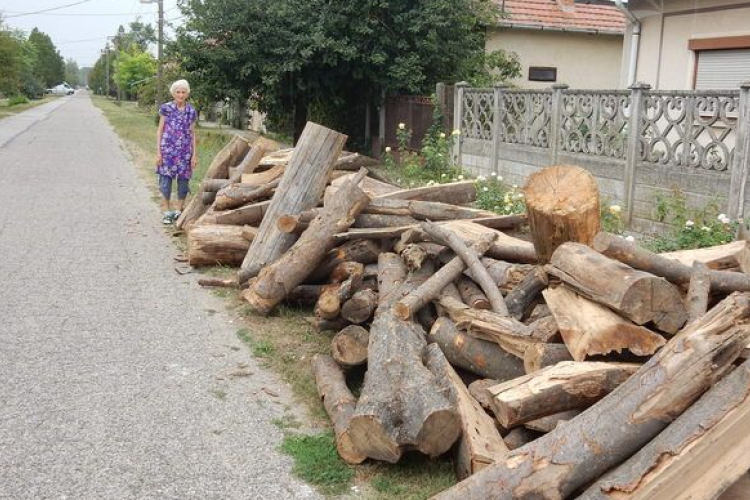 Rendszeresen becsapják a tűzifa-árusok a vevőket