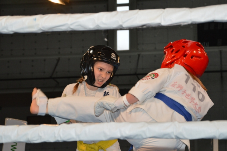 Kemény összecsapásokat láthattak a küzdősportok rajongói  (videóval)