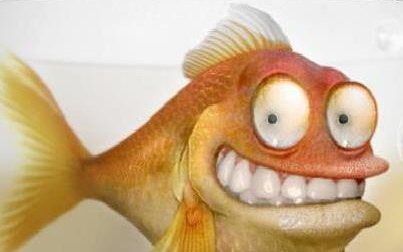 A horgászsportot és a horgászturizmust támogatja az új törvénytervezet