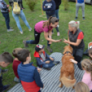 Családi délutánt rendeztek a Gyepmesteri Telepen