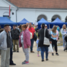 Káprázatos virágözön ékesítette Kiskunfélegyháza főterét