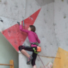 Magyar Hegy- és Sportmászó Szövetség Falmászó Versenyének Bajnoki Fordulója