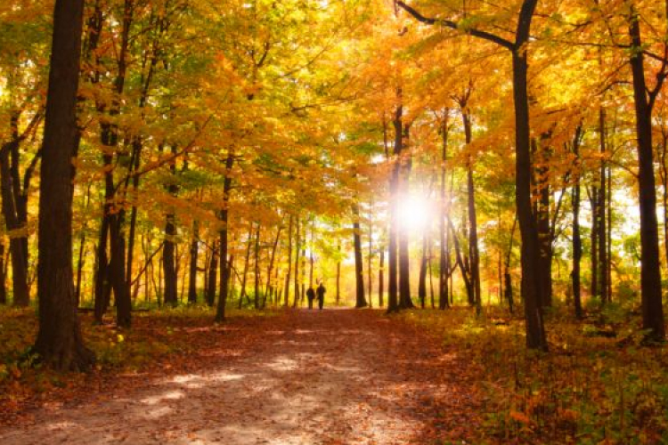 Váratlan meleg: kora nyár lesz hétvégén