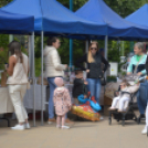 Káprázatos virágkavalkád a városközpontban