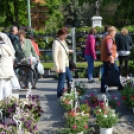Tavaszi Virágvásár a városközpontban