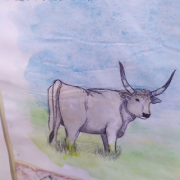 Hungarikum kiállítás nyílt a Batthyány Iskolában