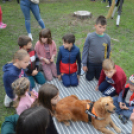 Családi délutánt rendeztek a Gyepmesteri Telepen