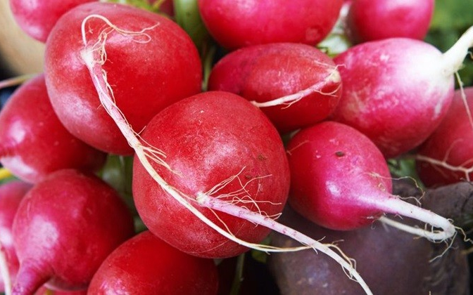 Retek: reggel sem méreg