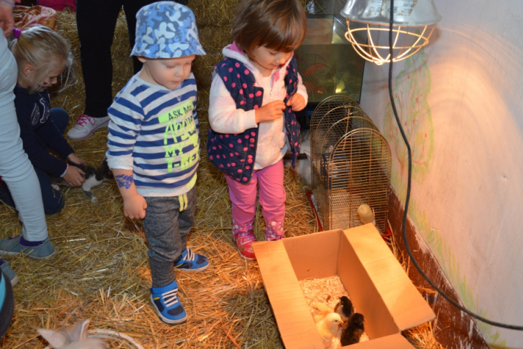 V. MEZGÉ PIKNIK a Tangazdaságban