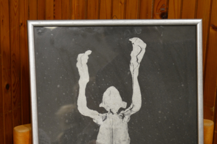 A TEMI 25. évfordulóját ünnepelte