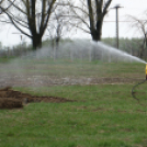 tömegesen földelték el a döglött kacsákat Majsán