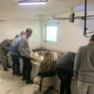 Pályaorientációs napot tartottak a Mezgében