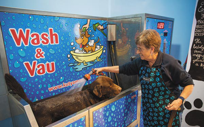 Állati kényeztetés - Virágzik a cukiipar